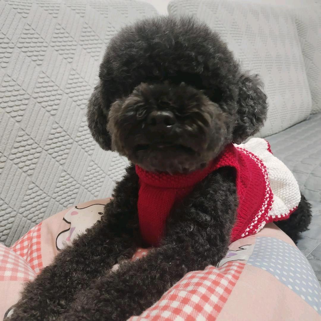 不是乌冬面的乌冬