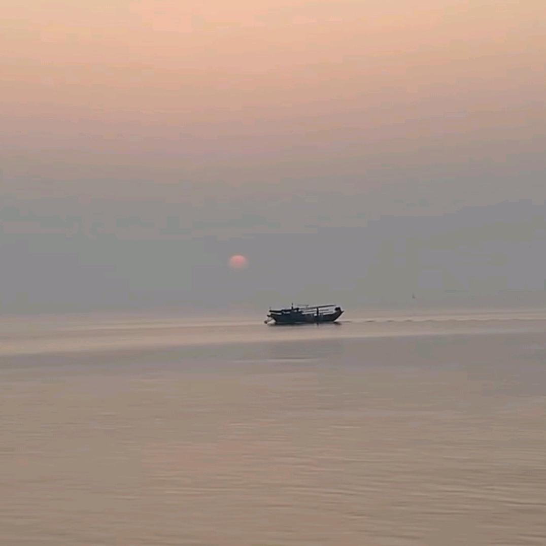 ✨