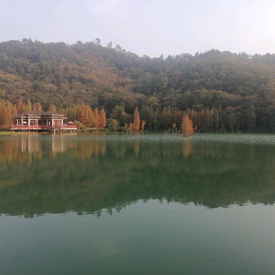 新会瓷砖批发丽姐