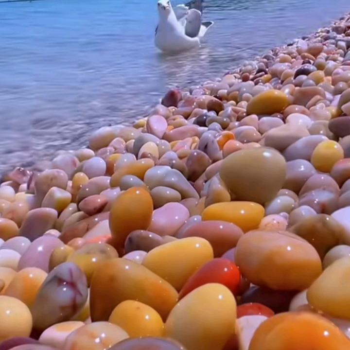 选择