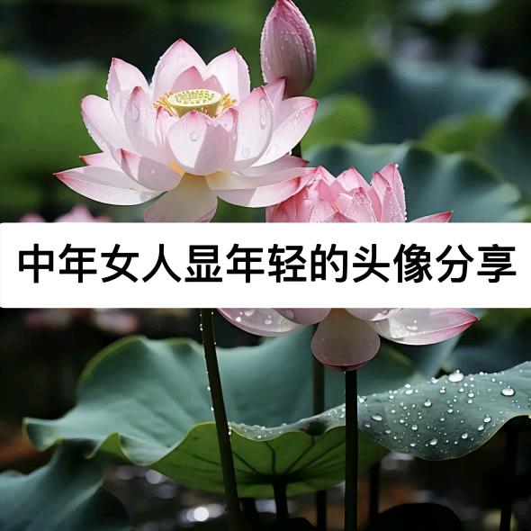 安溪县城厢高苏百货商行（个体工商户）