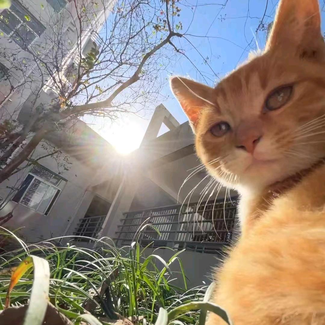 单大腿📸