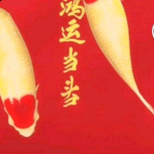 @龙