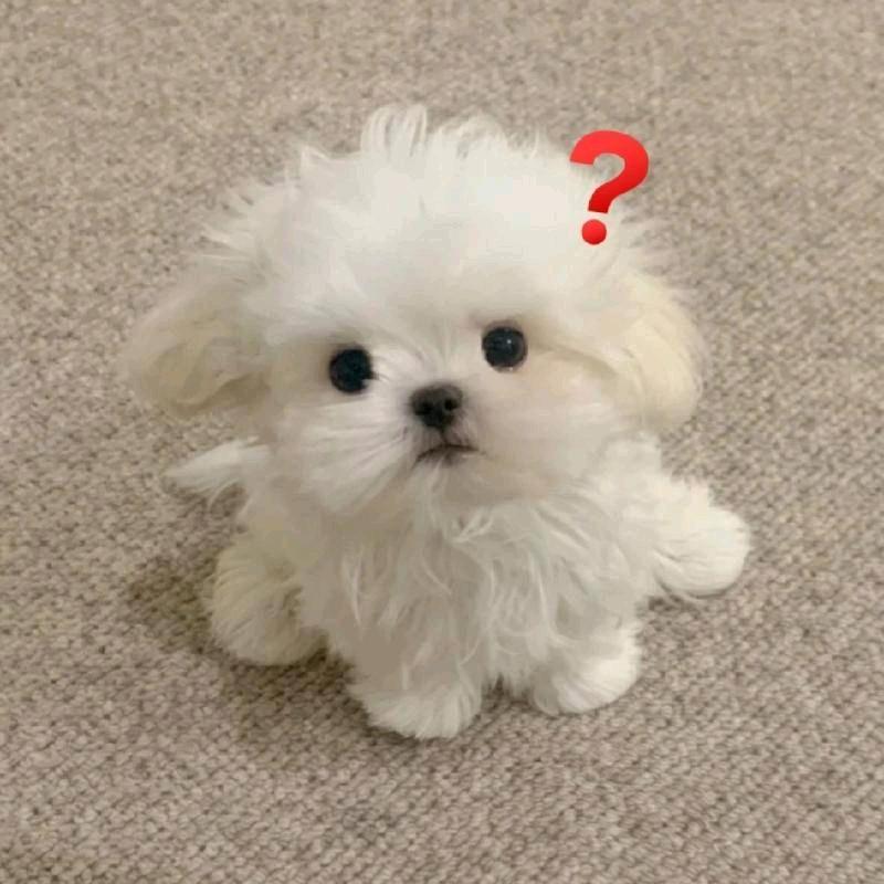 小杨同学🍃🍃