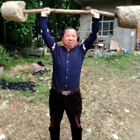 有情有义