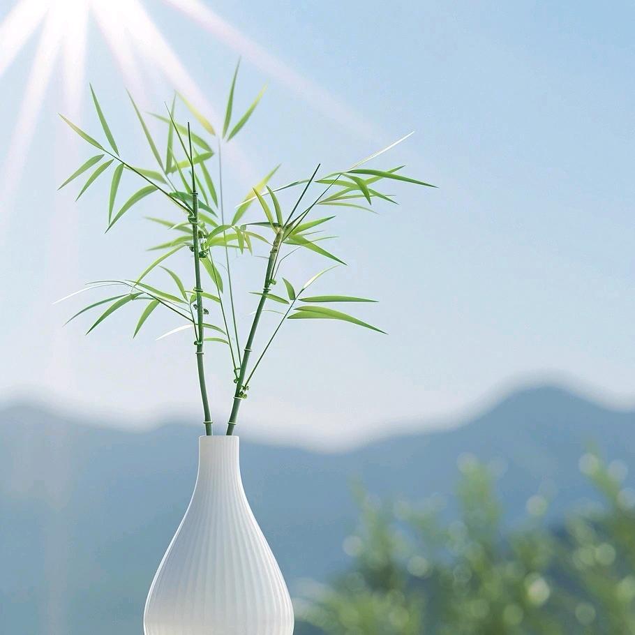 安好🌾