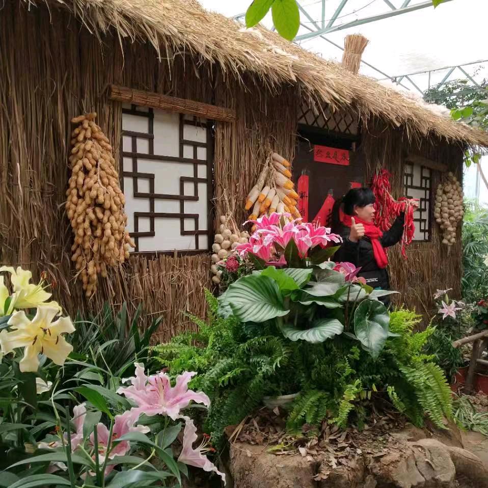 阳光正好