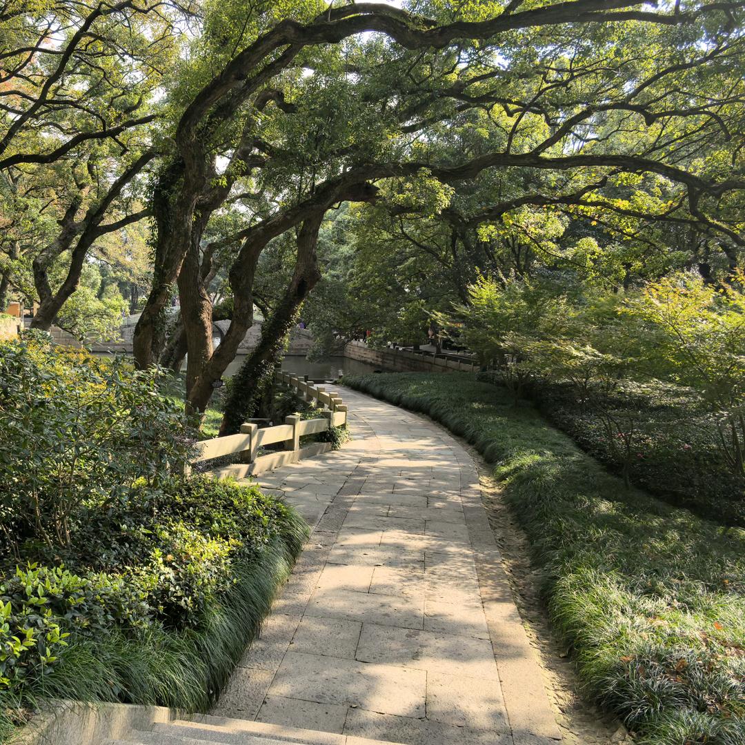 靠山王