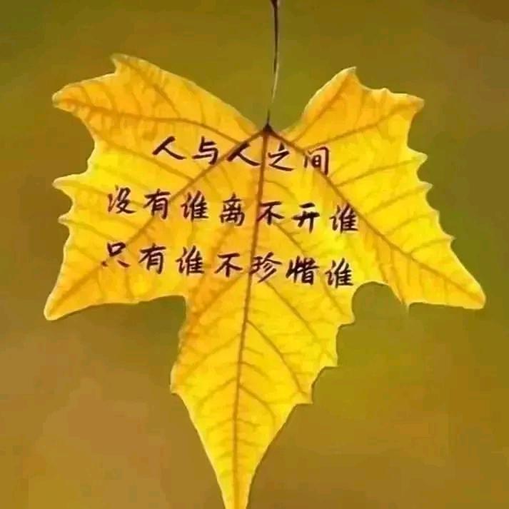 大树好乘梁先生