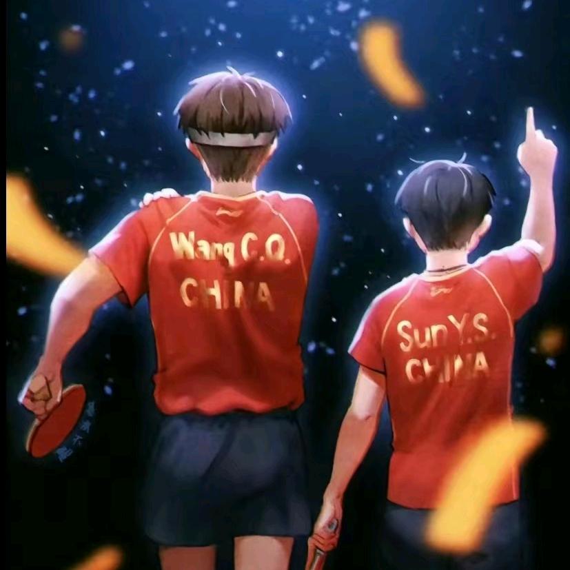国乒粉莎头