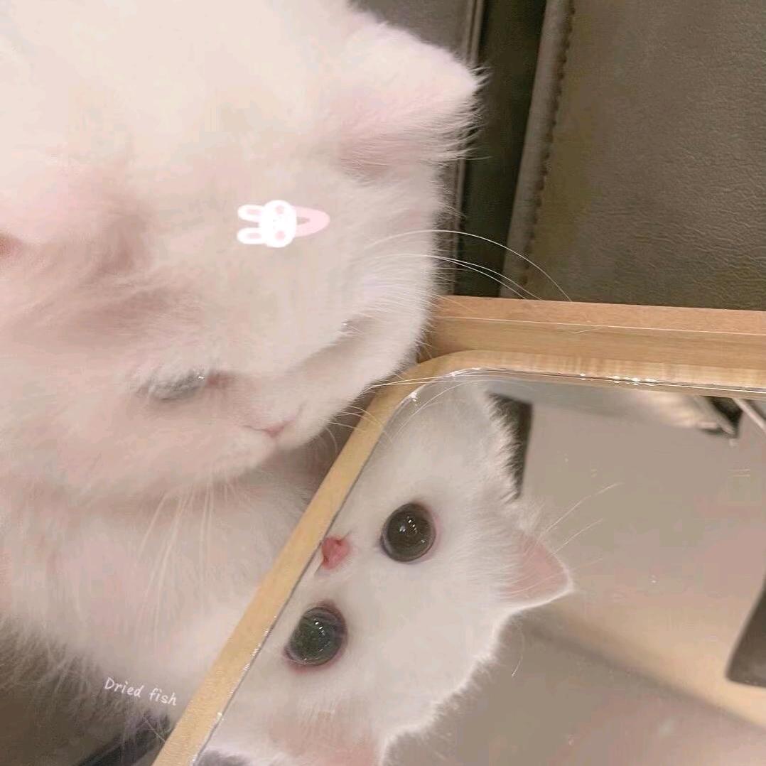 ꒰ঌの云汐.💭໒꒱（开学已逝