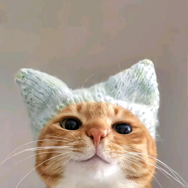 蔓越莓