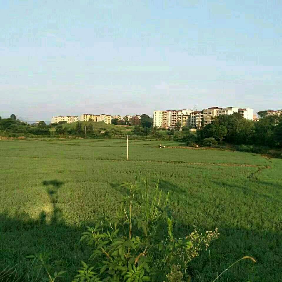 华仔百货