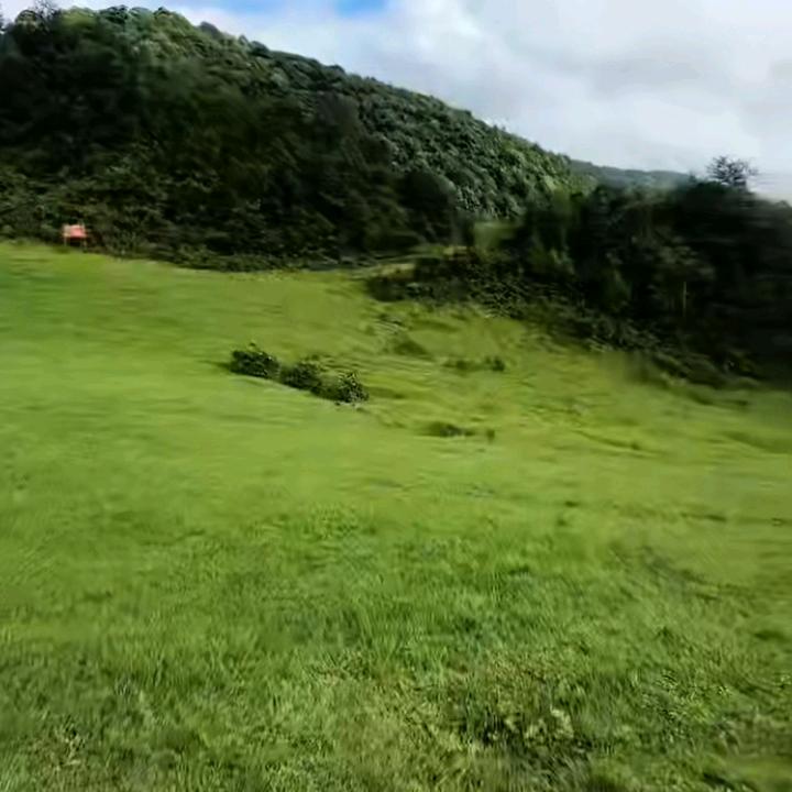 孤方自赏