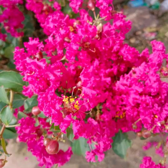 文明直播早上七点，，晚八点