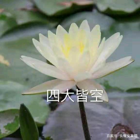 牵机