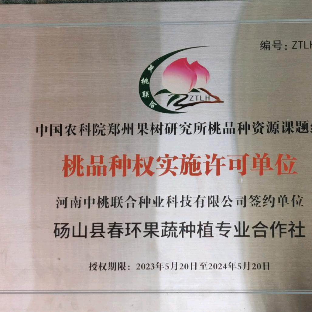 春环桃苗李欢农场
