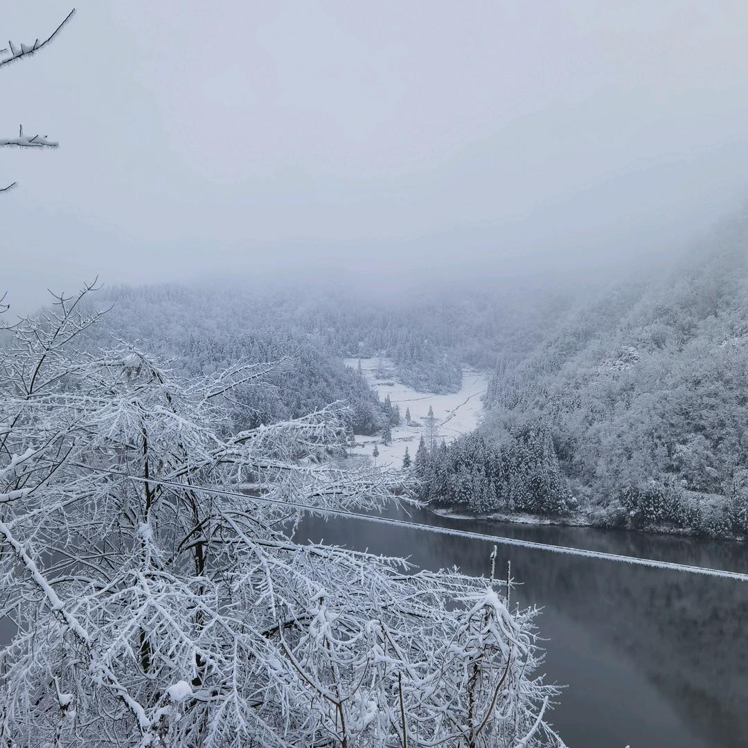 婷婷服饰甄选店