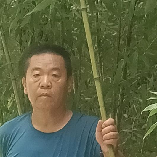 青哥