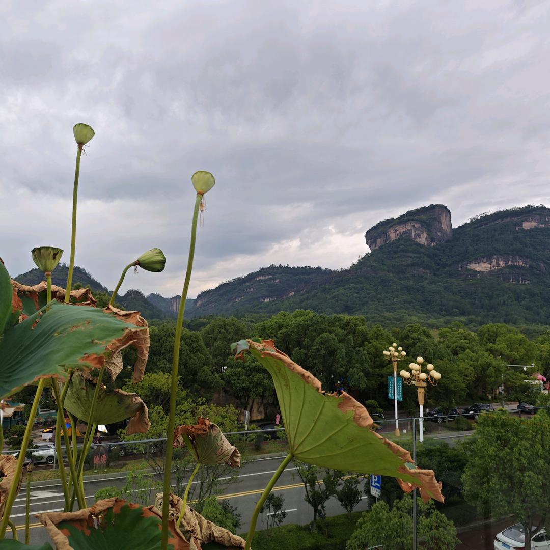 岩茶少年彭彭