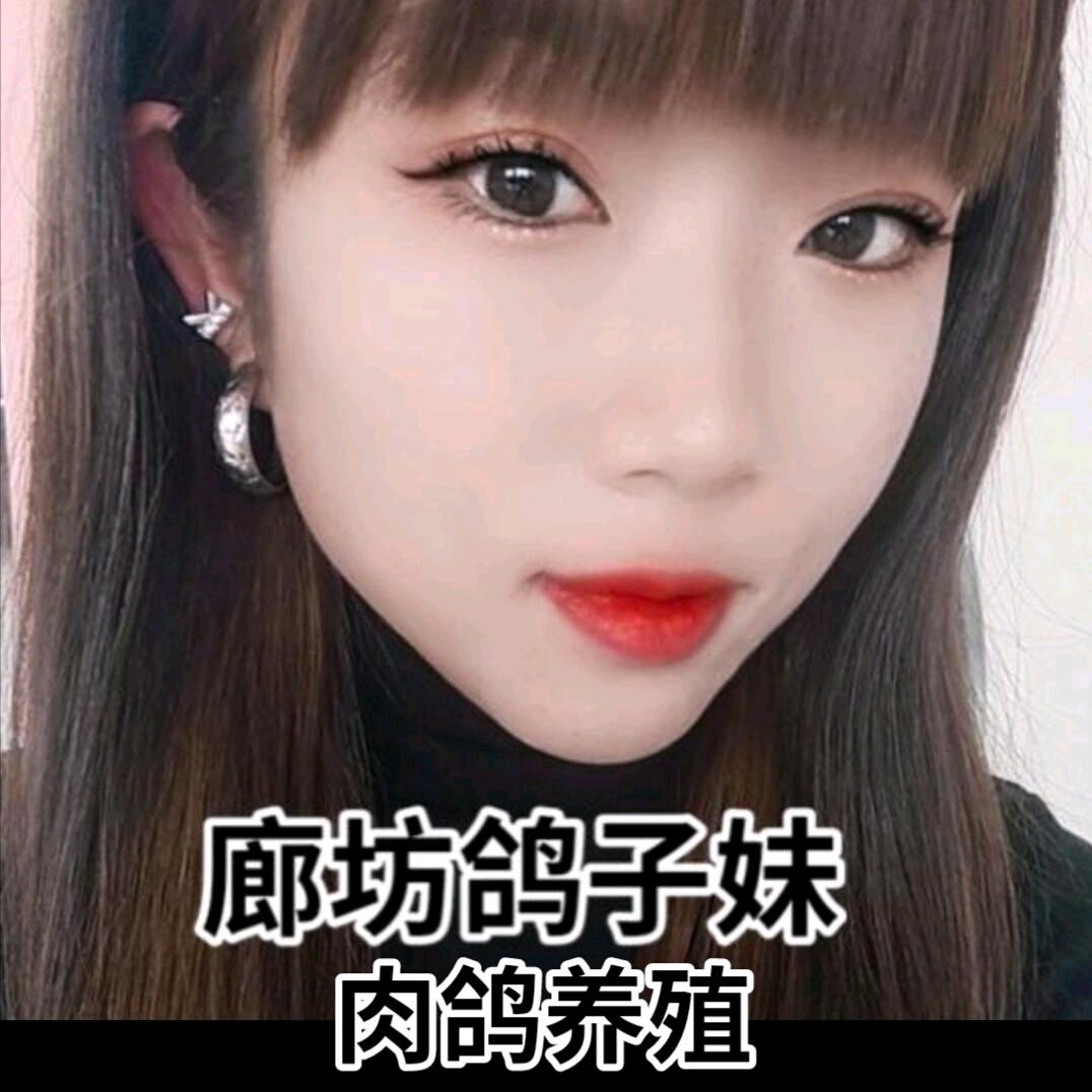 《廊坊鸽子妹》