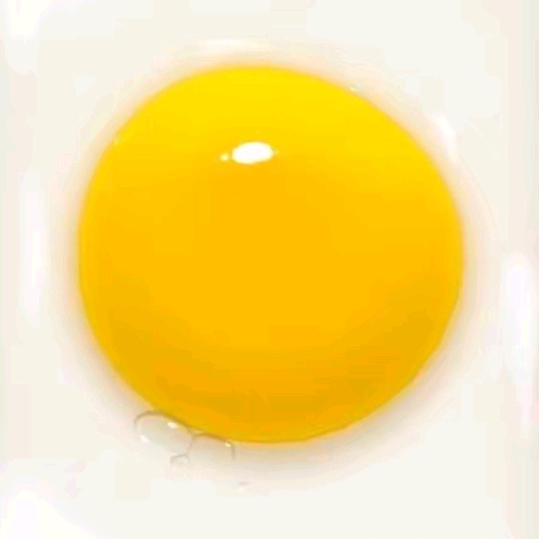 原味奶茶