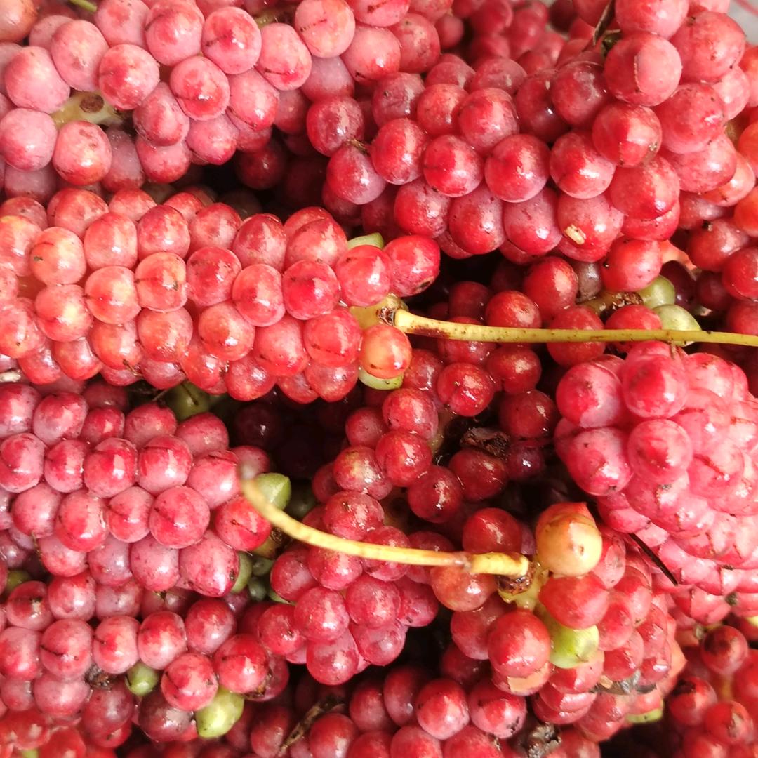 姚望⛳️💥🌹☀️未来☘🎄🎄