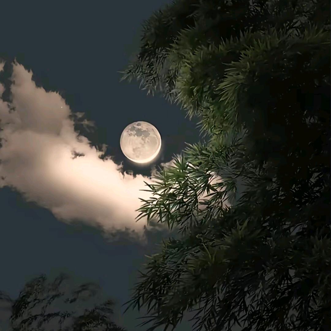 莫愁前路吴知己