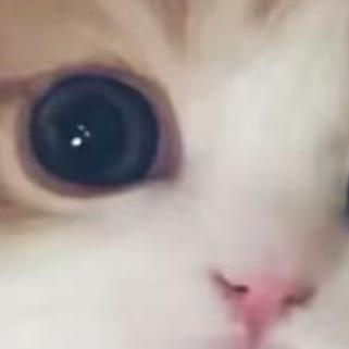 路人甲