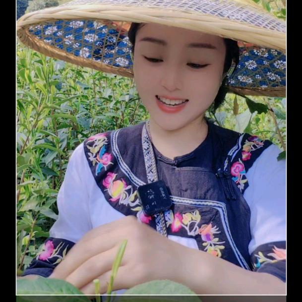 敏朵🎙