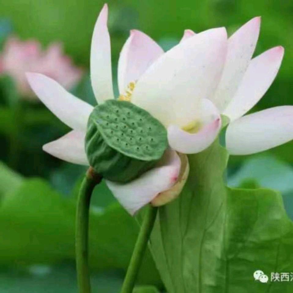 一笑而过