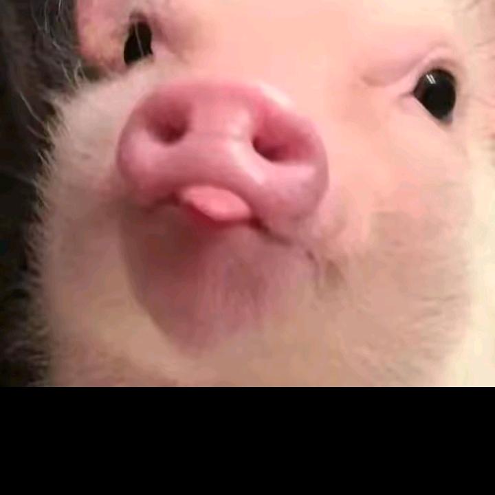 略略略略略略‘