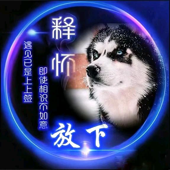 🚬ಇ᭄烈酒࿆ྃ敬余生࿐