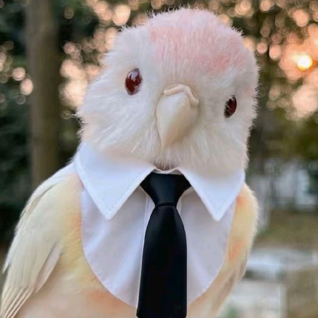 ʰᵉˡˡᵒ𝙠𝙞𝙩𝙩𝙮.