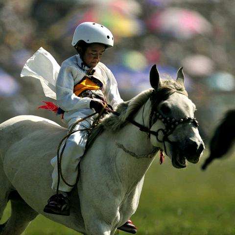 扎西丶永远德勒