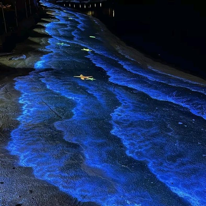 天真