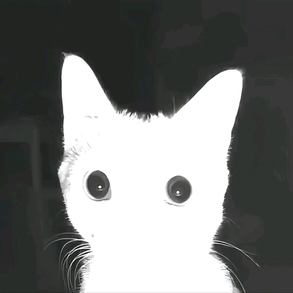 睹绪