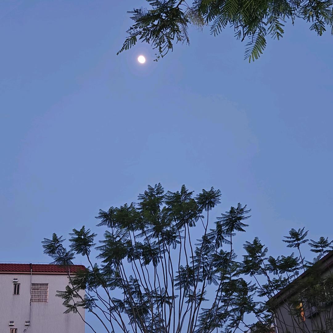 土枢四象一气周流