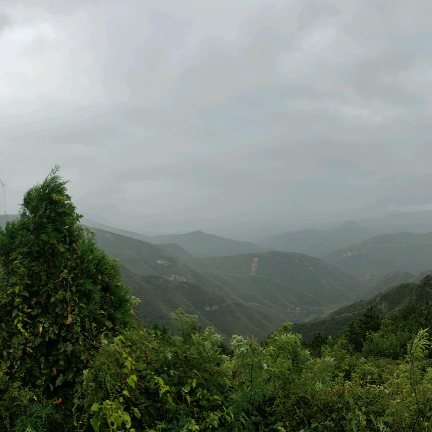 简