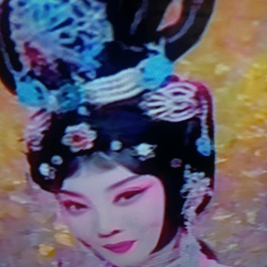 龙女美