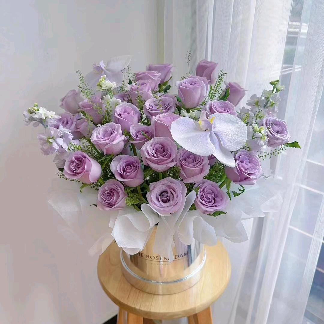 婷子吖❤️《橱窗有好物》