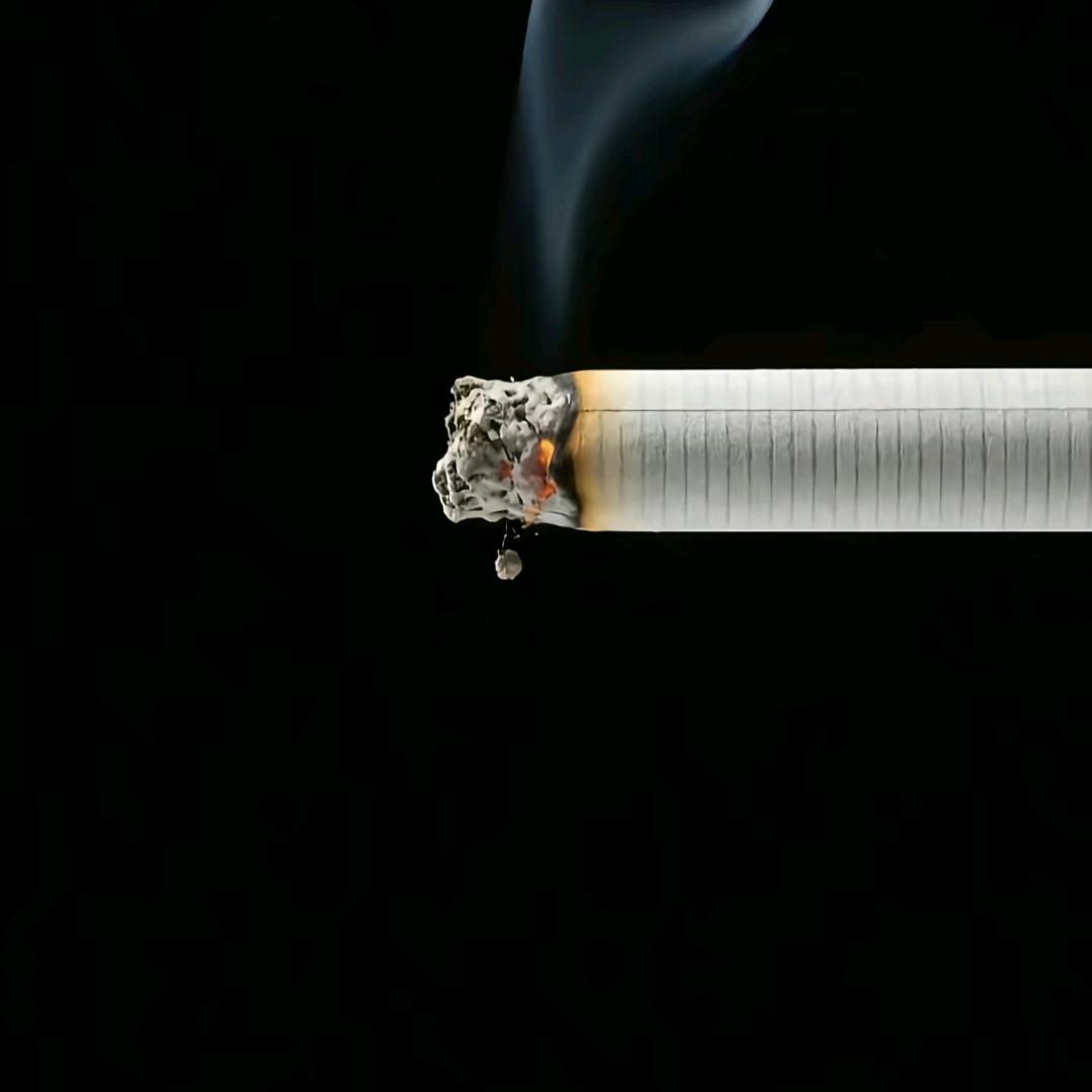 💞小懒猫儿💞