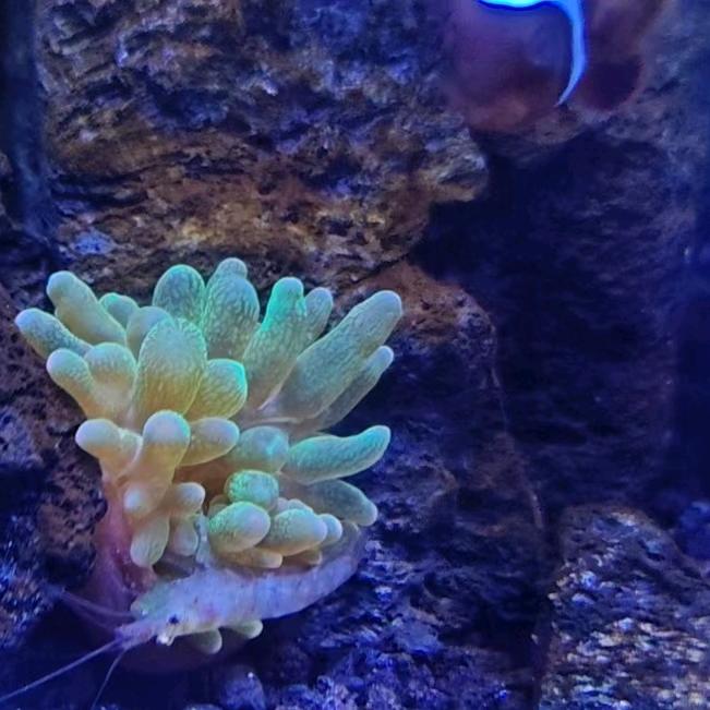 卑微小陈的动物乐园