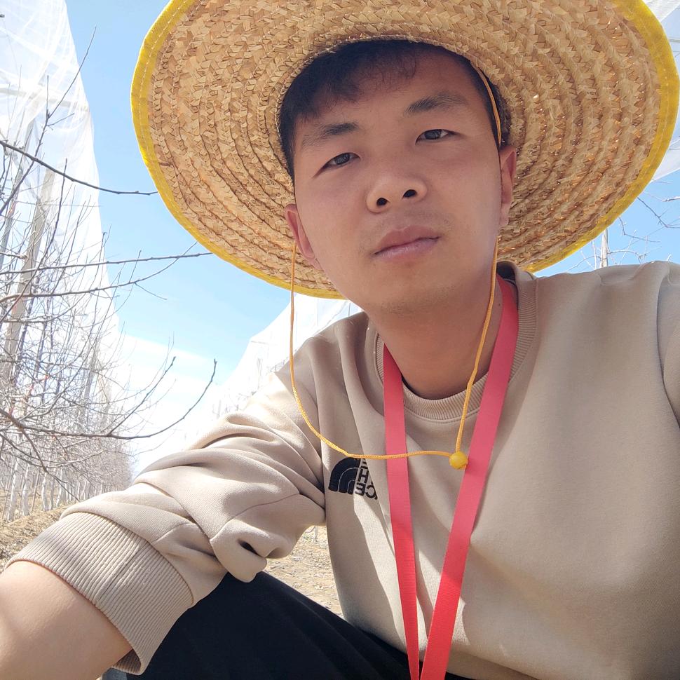 刘小星