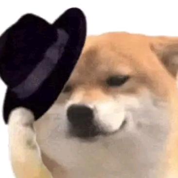 一个帅气的名字