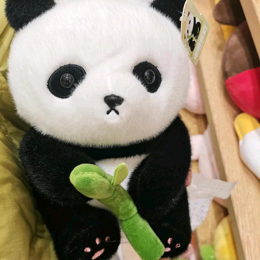 咩咩咩