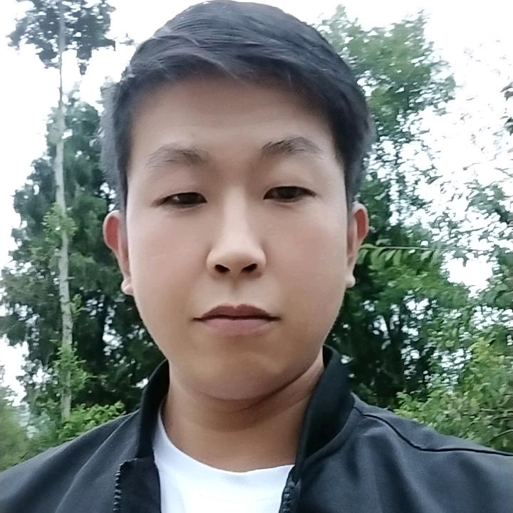 山阳延坪高山有机绿茶