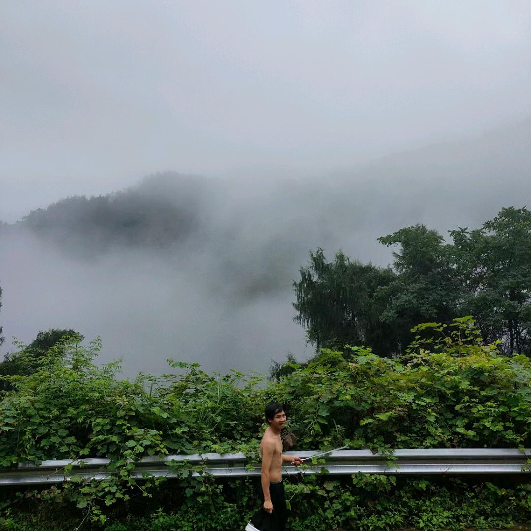 荣县金典图文广告  设计制作安装