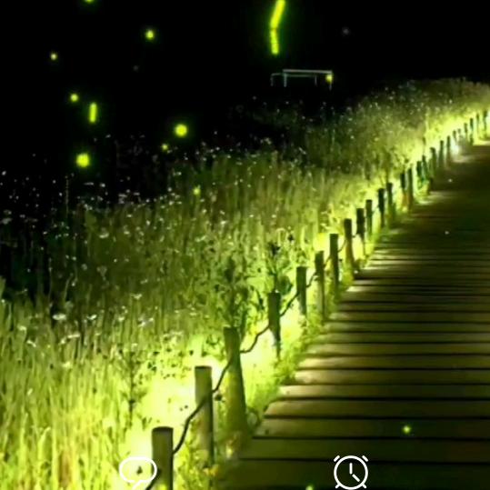 我是王浩，｛单身｝一生只有你