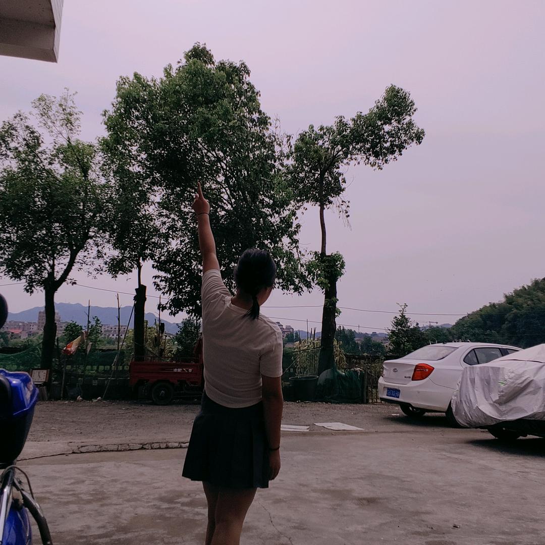 秋风依旧